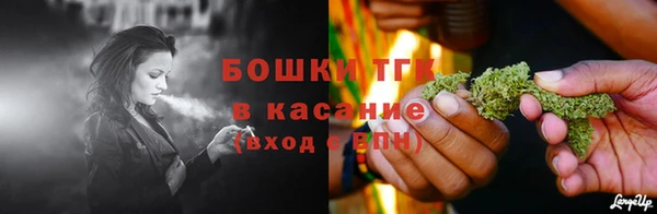 дживик Баксан