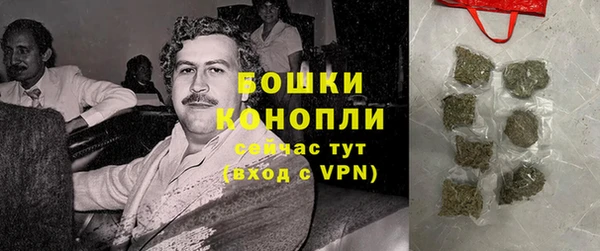 дживик Баксан