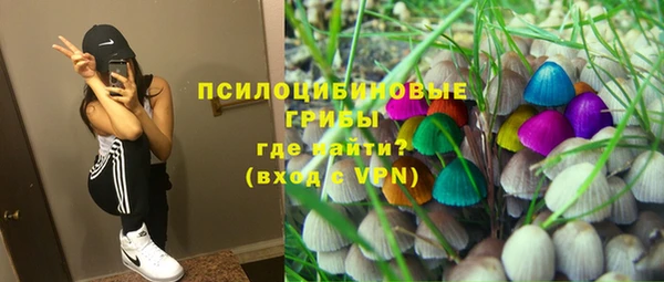 дживик Баксан